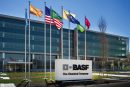 BASF-to-exit-dimer-and-polyamide-resin-business